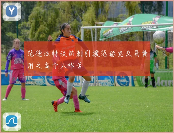 范德法特谈热刺引援范赫克交易费用之高令人咋舌