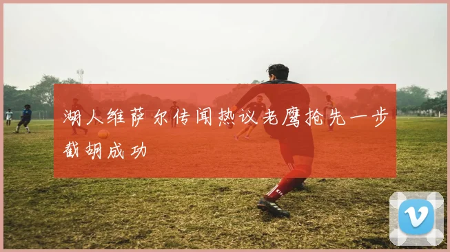 湖人维萨尔传闻热议老鹰抢先一步截胡成功