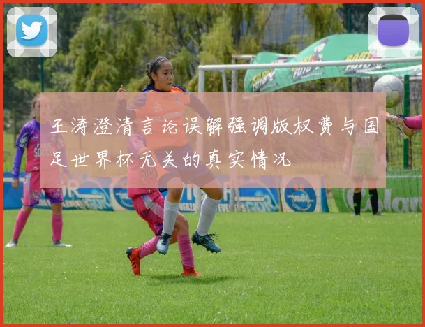 王涛澄清言论误解强调版权费与国足世界杯无关的真实情况